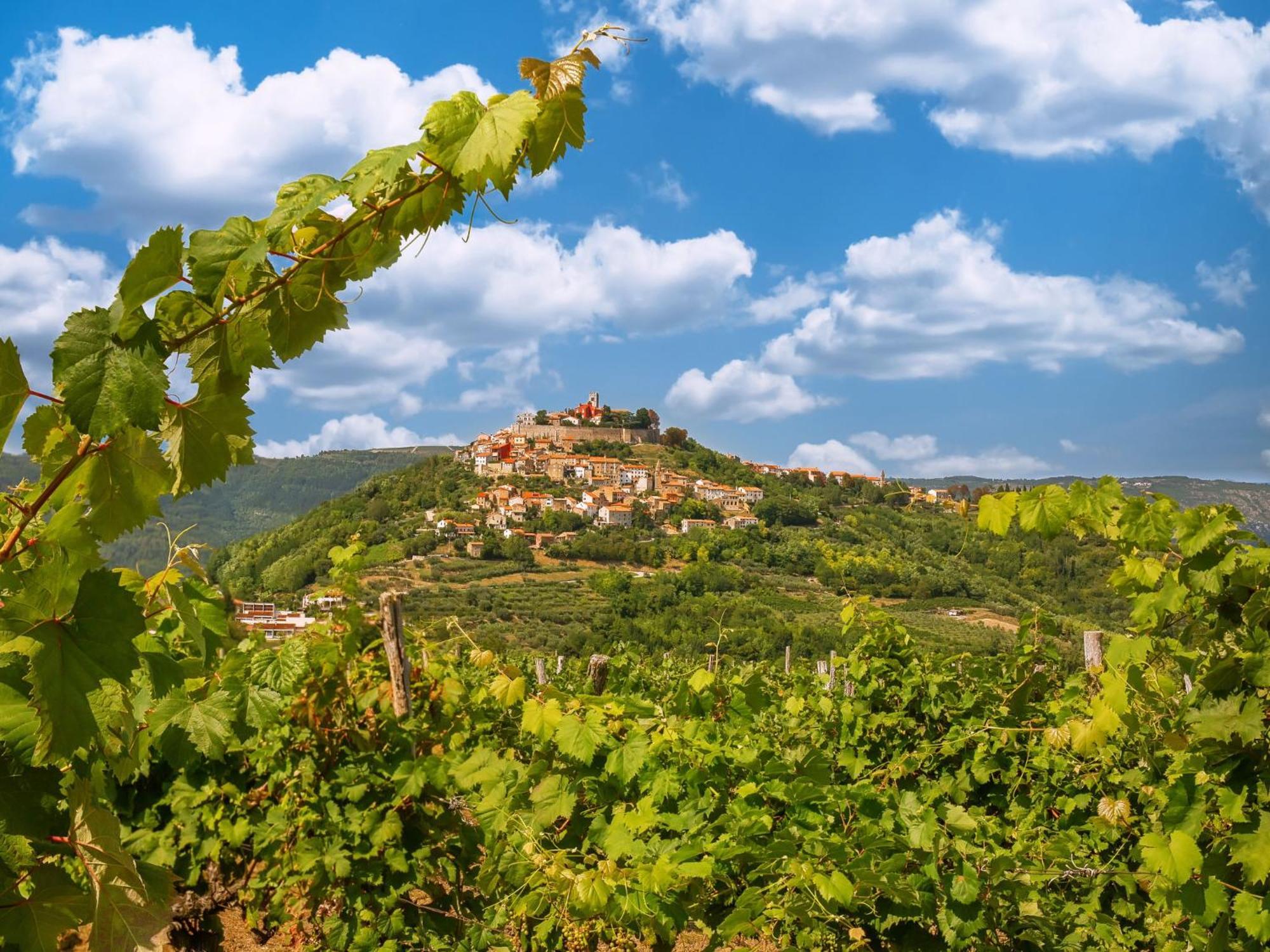 Holiday Home Montebello By Interhome Motovun Buitenkant foto